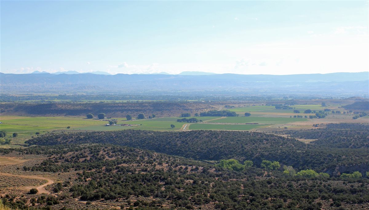 Uncompahgre Valley, Olathe Colorado